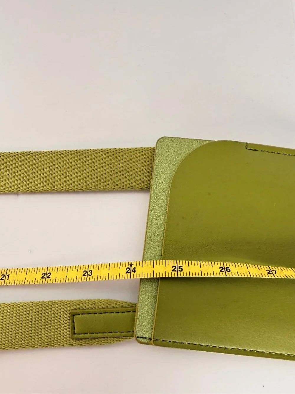 Everlane Cactus Leather Mini Sling Bag Pepper Green